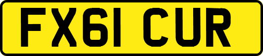 FX61CUR
