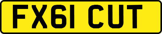 FX61CUT