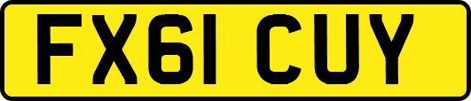 FX61CUY