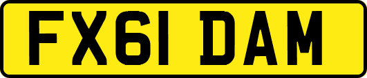 FX61DAM