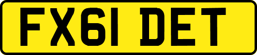 FX61DET
