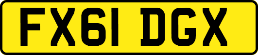 FX61DGX