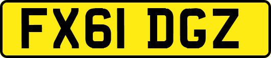 FX61DGZ