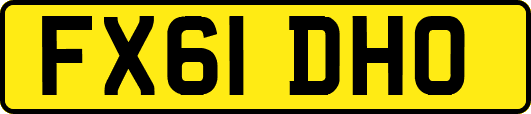 FX61DHO