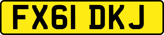 FX61DKJ