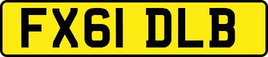 FX61DLB