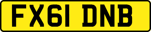 FX61DNB