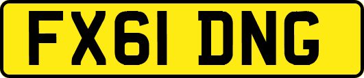 FX61DNG