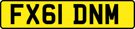 FX61DNM