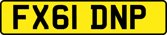 FX61DNP