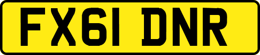 FX61DNR