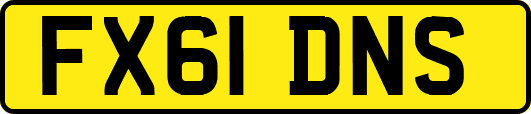 FX61DNS