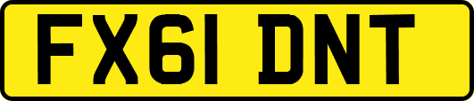 FX61DNT