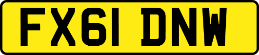FX61DNW