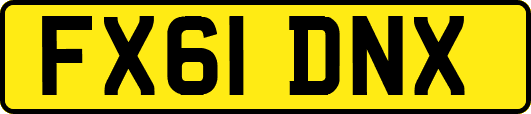 FX61DNX