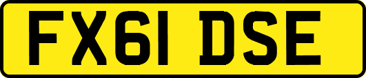 FX61DSE