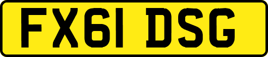 FX61DSG