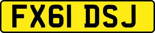 FX61DSJ