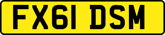 FX61DSM