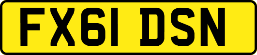 FX61DSN