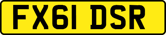 FX61DSR