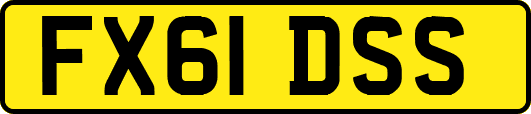 FX61DSS