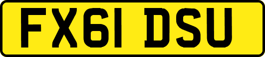 FX61DSU