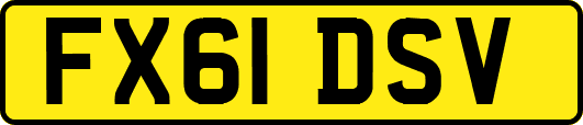 FX61DSV