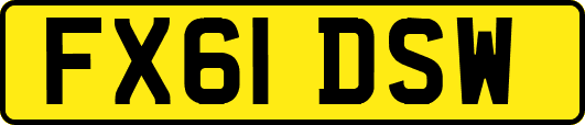FX61DSW
