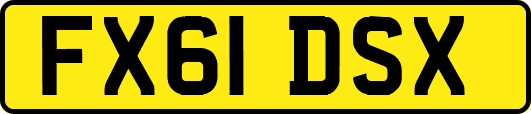 FX61DSX