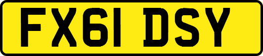 FX61DSY