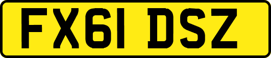 FX61DSZ