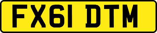FX61DTM