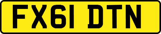 FX61DTN