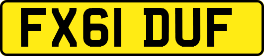 FX61DUF