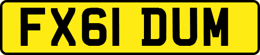 FX61DUM