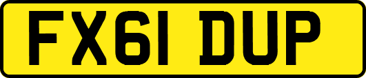 FX61DUP