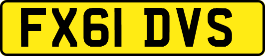 FX61DVS