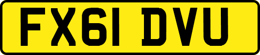 FX61DVU