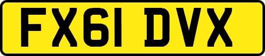 FX61DVX