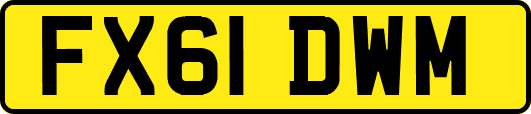 FX61DWM