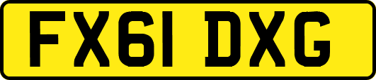 FX61DXG