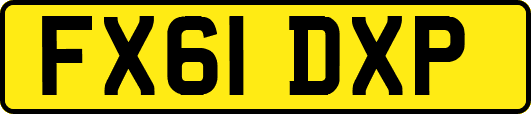 FX61DXP