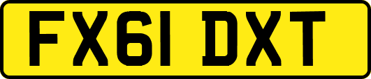 FX61DXT