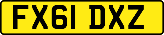 FX61DXZ