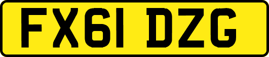FX61DZG