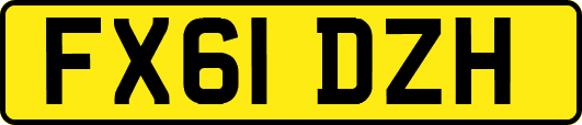 FX61DZH