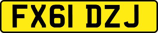 FX61DZJ