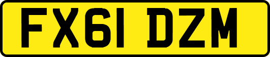 FX61DZM