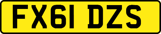 FX61DZS